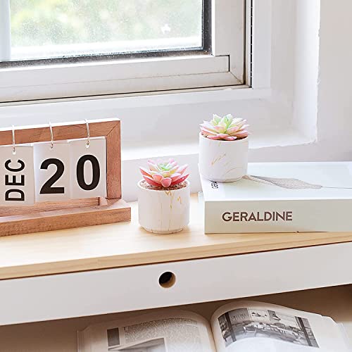 zenmag-Succulents-Plants-Artificial-Mini-Fake-Succulents-in-White-Ceramic-Pots-for-Desk-Livingroom-Bathroom-and-Home-Decoration-Office-Decor-for-Women-Set-of-2-Artificial-Succulents