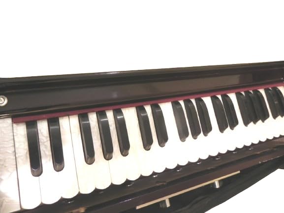 Musikalisches hölzernes Harmonium mit Koppler, tragbar, zusammenklappbar, 3,5 Oktave, 9 Stopper