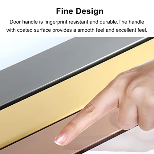 Poignée de traction double face noire mate pour porte en verre lourde