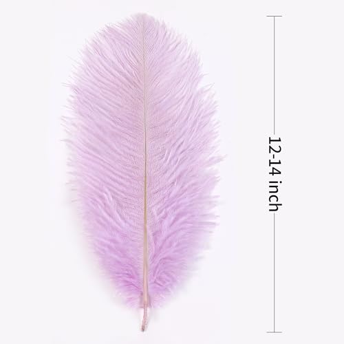 Soarer Light Purple Large Ostrich Feathers - 15 pcs 12-14inch Craft Feathers for Gatsby Wedding Party Centerpieces,Flower Arrangement and Home Decoration.(Light Purple) by Soarer - Image 3