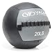Valor Fitness WB-20 Wall Ball, Black/Grey, 20-Pound