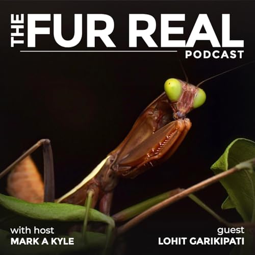 "PRAYING MANTIS: Tiny Alien, Deadly Hunter" with Lohit Garikipati