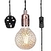 Produktbild WCZ Schwarz Hängeleuchte Mit Plug-In, Vintage Style Hängeleuchte Kit-Lampen-Halter, 4500Mm Geflochtene Twisted-Kabel Mit Ein- / Ausschalter-Kit04Bpg gcvcxfgdsgsd/Antike/goldene m