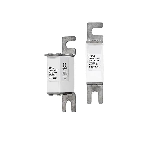 Hyujnafzr 5V Fuse 170M3268