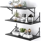 Zuiguoshan Deep Floating Shelves for Wall Set of 3, 24W x 12 Inch Deep Black Floating Shelves, Wide Floating Wall Mounted Shelves for Living Room, Kitchen, Office, Bedroom, Bathroom, Laundry Room