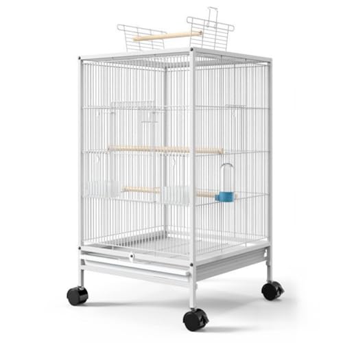 Bxzzuis   d؂t^P[W ^ vȃIEBP[W nht ̃ybgƂł܂ ZLZCCRACRAIEP[WɓKĂ܂ (pbP[W 1,zCg)