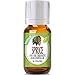 Spruce Essential Oil - 100% Pure Therapeutic Grade Spruce Oil - 10ml