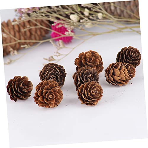 Árboles De Navidad, Home Imagen adicional