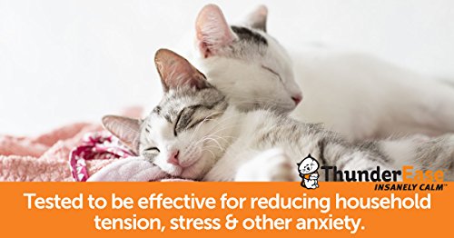 thunderease cat diffuser