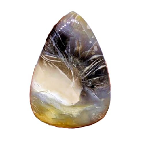 Cabochon poire en gemme fossile naturelle de qualité supérieure pour bijoux