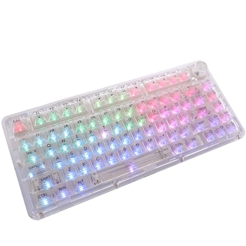 OUSEITECH BK920 ゲーミングキーボード 透明キーボード ノブ付き RGB ホットスワップ対応 75%配列 メカニカル BT5.0/2.4G/USB-C ワイヤレス 透明キーキャップ 80キー テンキーレス Windows/Mac/Androi