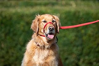 UniWalker Figure of 8 Dog Training Lead For Dogs That Pull. Soft, Padded.& Comfortable. 3 uses in 1 lead. Red