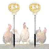 hhdatc 2PCS Chicken Peck Toys Poultry Enrichment Swing & Slow Feeder Chicken Treat Dispenser for Hens Ducks Birds and Parrots Transparent Coop Toys for Fun & Feeding