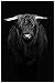 Produktbild LLYSJ Leinwand Wandkunst 50x70cm Rahmenlos Schwarz Weiß Highland Kuh Kalb Poster Tier Poster und Drucke Nordic Decor Wandmalerei Wohnzimmer