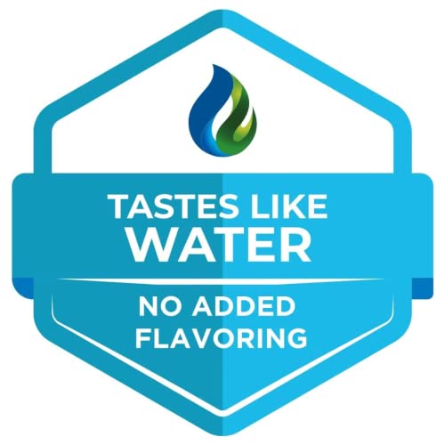 Beam Minerals Micro-Boost Humic Mineral Blend | Plant-Based Multi Minerals Supplement & Electrolytes Liquid | Micronutrients Supplements | Deficiency Support | Pure Natural Antioxidant | Keto Friendly #TOP6