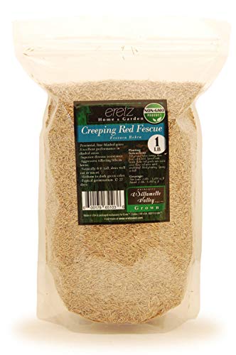 Creeping Red Fescue Seed by Eretz (1lb) - CHOOSE SIZE! Willamette Valley Oregon Grown, No Fillers, No Weed or Other Crop Seeds, Premium Shade Grass Seed.