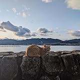 extension pak nintendo 64  Expansion Pak [Explicit]