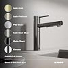 Blanco 527560 Alta II Low Arc Pull-Out Kitchen Faucet - 1.5 GPM - Matte Black