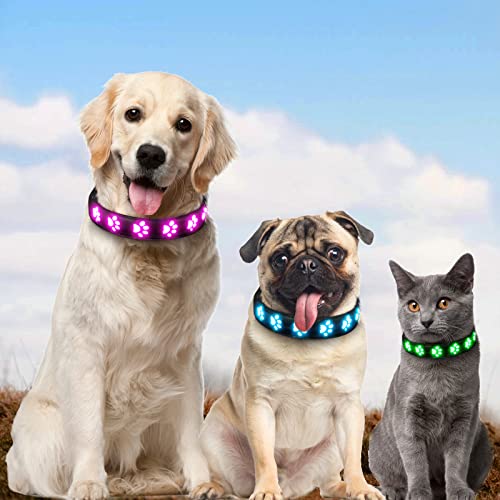 AUAUY Hundehalsband Leuchtend, LED Leuchthalsband Hunde Halsband USB Wiederaufladbar Wasserdichtes für Kleine Mittlere Große Haustier Einstellbar Sicherheit Kragen mit 6 Farben (Colorful-S)