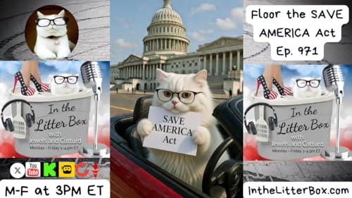 Floor the SAVE AMERICA Act | In the Litter Box w/ Jewels Jones & Catturd &ndash; Ep. 971 &ndash; 2/17/2026