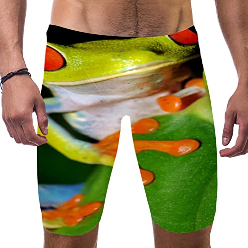 Bañador de hombre con estampado de rana en hoja talla S de secado rápido multicolor