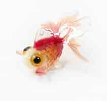【プライズ品】金魚×9 メンダコ×3 オイルチャーム12個セット 41buqKck-SL._AC_SY200_QL15_.jpg