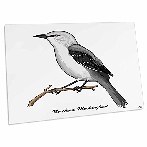 3dRose Birds Northern Mockingbird 3 en blanco - Pad de escritorio