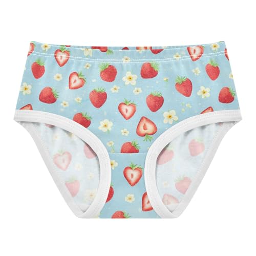 Wusikd Watercolor Strawberries Girls' Underwear Cotton Hearts Girls Briefs Soft Toddler Underwear 2T