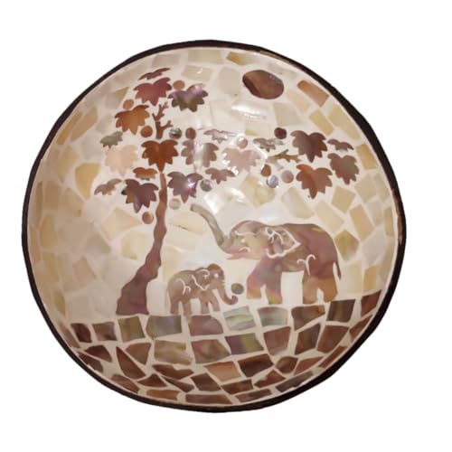 Angoily Bol Coque de Noix Naturelle pour Snacks Noix et Rangement Clés Bol Polyvalent Décoratif pour Cuisine et Salon