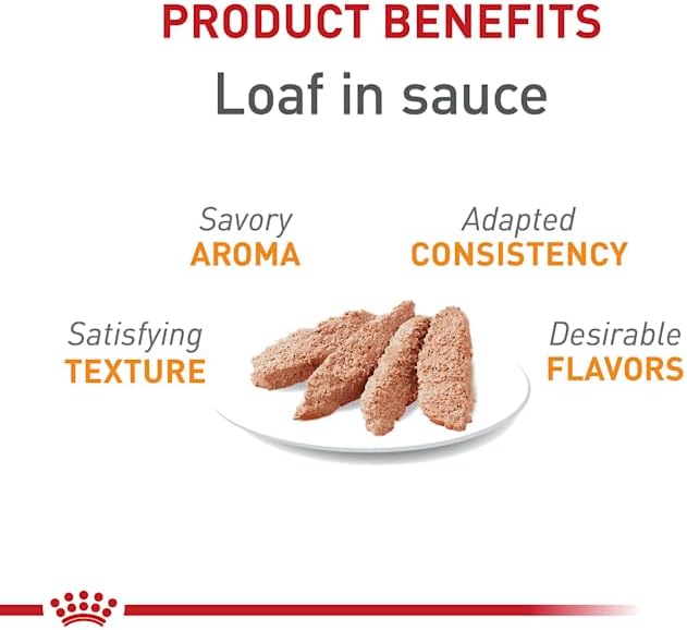 Royal Canin Feline Care Nutrition Hair & Skin Care Loaf in Sauce Canned Cat Food, 3 oz., Case of 24