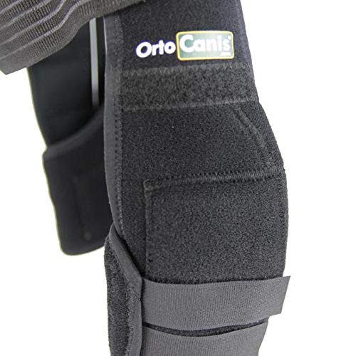 Ortocanis Elbow pads for dogs with elbow arthritis, hygromas, or