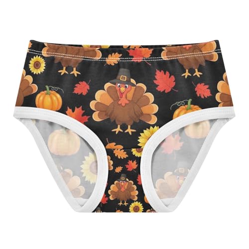 Panties for Girls, Cute Cartoon Turkeys Brown Toddler Girl Briefs, Girls Cotton Underwear, 2T–8 Years