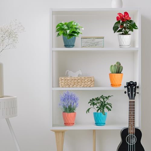 Pots de fleurs d'intérieur avec trous de drainage et soucoupes lot de 5