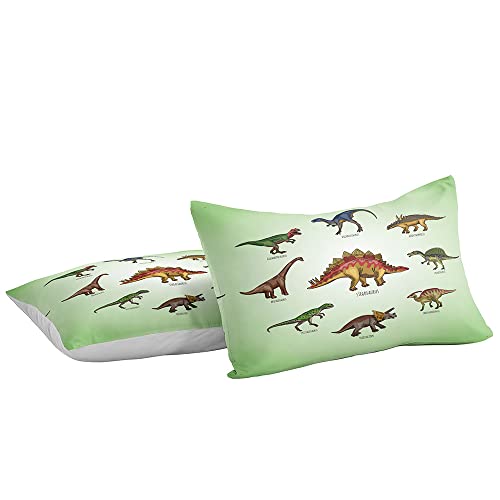Z.jian Home Bedding For Kids,Dinosaur Twin Bed Sets For Boys, Comforter Cover Sets Twin,Bed Room Decor For Boys,Duvet Cover Sets Include 1 Duvet Cover 1 Pillowcase,No Comforter(Kl04 Twin) #TOP1