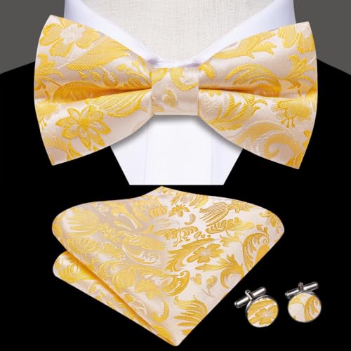 Image of Dubulle Mens Paisley Striped Bowtie Set Pre-tied Bowtie for Men and Pocket Square Set Wedding Business