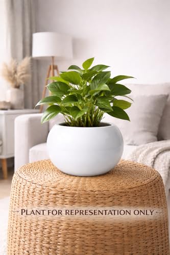 Image of Ceramic Plant Pots, Clay Flower Pot with Drainage Hole, Decorative Modern Indoor Planters, Home Garden Decor for Living Room Bedroom Interior (White)