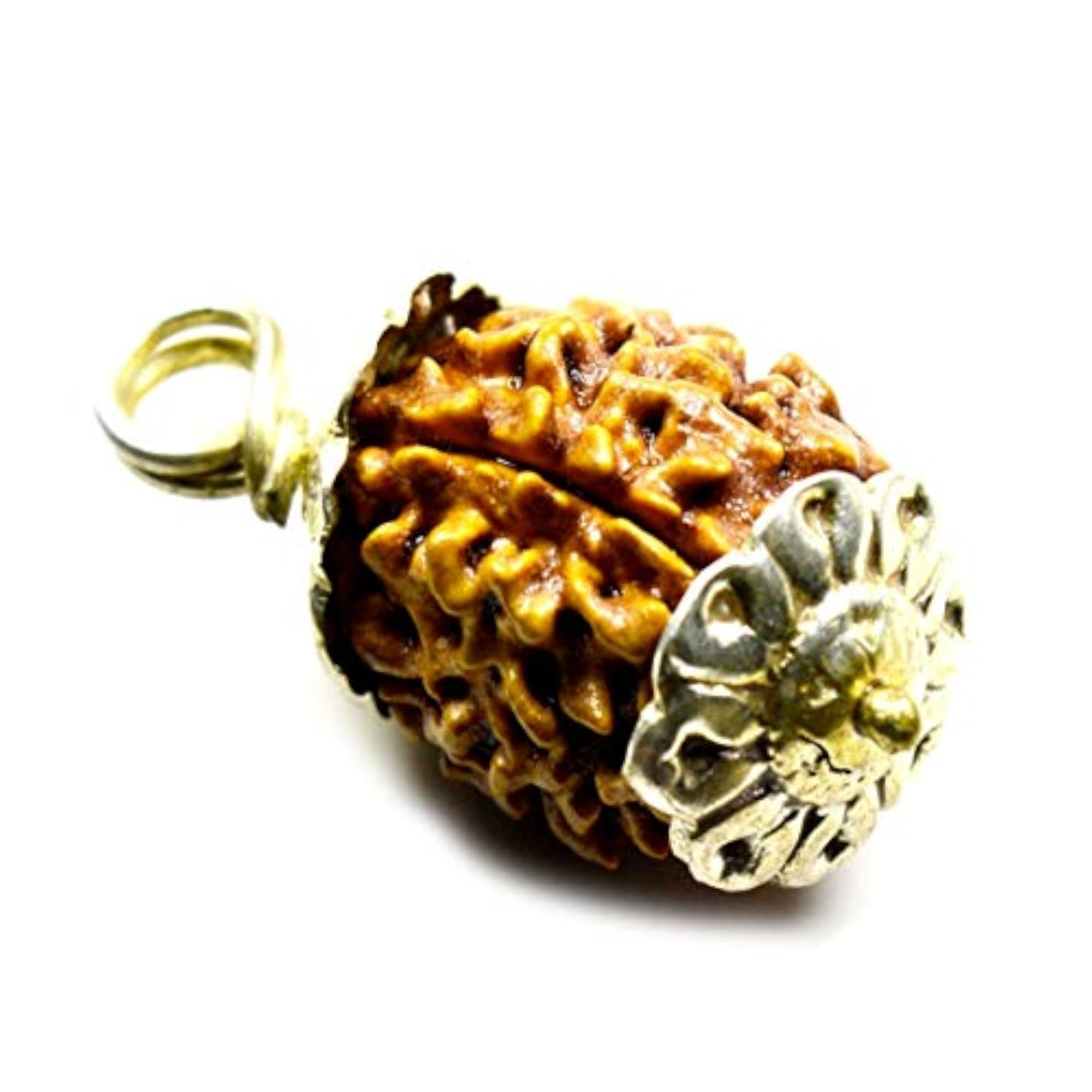 Certified Natural 3 Mukhi Rudraksha Sterling Silver Pendant