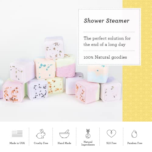 Lizush Luxury Spa Gift Basket And Self Care Gifts For Women With Grapefruit Soap Bar, Facial Mask, Lip Balm, Eye Mask, Soap Saver, Shower Steamer - You Got This - 6 Piece Set #TOP4