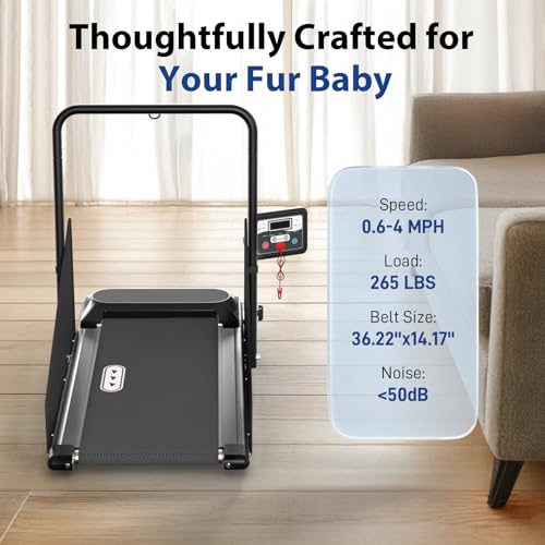 Expert Tips for Using CIIHI Dog Treadmill