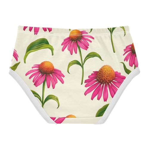 Girls Underwear Toddler 2t Cotton Panties for Girl Fun Print Briefs Kids Undies Pink Coneflowers Light Cream2