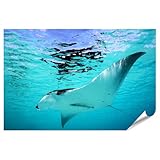 Décoration polyvalente : idéale pour le salon, la chambre, la cuisine, le couloir, le bureau ou la salle d'attente. Motifs pour enfants parfaits pour les salles de jeux, les coins à langer ou les jardins d'enfants. C'est également une excellente idée de cadeau pour la famille, les amis, les collègues ou les enfants.