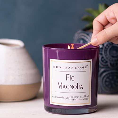 Red Leaf Home | Fig Magnolia Candle | Glass Lid, Medium | Aromatherapy | Signature Collection| 11Oz Jar #TOP2