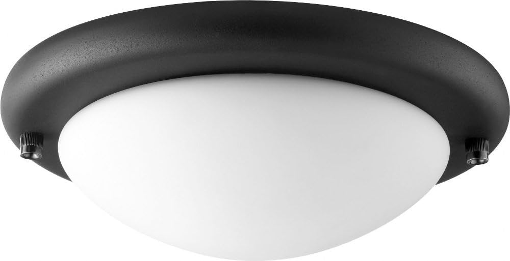 Quorum 1141-869 Transitional LED Fan Light Kit in Bronze/Dark Finish,