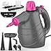 AUIFFER Pulitore a Vapore Portatile, Pistola a Vapore per Pulire con 10 Accessori, Sicurezza Blocco, Pressione 3,5 Bar, Pronto in 3 Minuti, Steam Cleaner per Divani e Tessuti - Rimuove Sporco e Grasso immagine