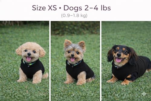 Image of JACKO & CO - Fleece Vest Dog Sweater with Leash Ring - Soft, Warm & Lightweight Pullover Coat for Small & Medium Dogs, Puppies & Cats - Cozy Fall /Winter /Spring Pet Jacket (Black, XS 2-4lbs)