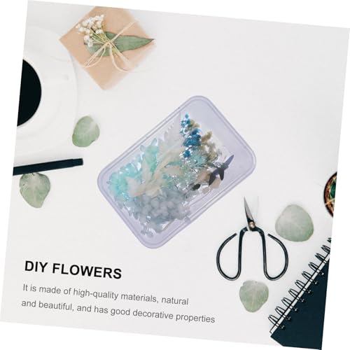 Real Dried Flowers Material para Manualidades Kit miniatura 5