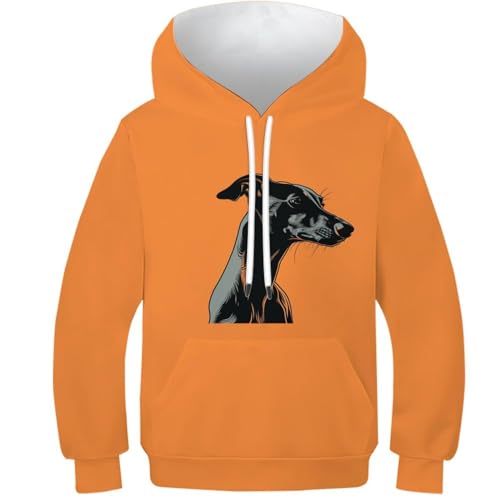 Pull à capuche lévrier pour le collège, sweat ado léger idéal pour le quotidien