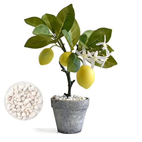 Luckforest Artificial Lemon Tree Topiary, Mini Potted Lemon Tree With White Pebbles, Potted Fake Plants For Flower Home Party Garden Office Table Decoration #TOP7