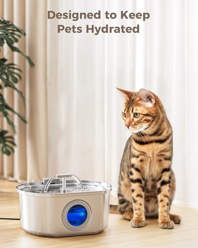 Pompe à eau pour chat et distributeur automatique d'eau de 3,2L