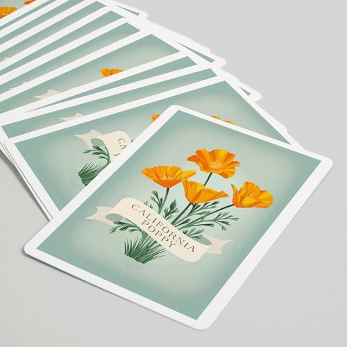 Lantern Press California Poppy naipes poker 52 cartas miniatura 5